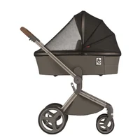 Carucior 2 in 1 Anex Flo Editie Speciala Stroll with the Flow 8