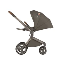 Carucior 2 in 1 Anex Flo Editie Speciala Stroll with the Flow 3