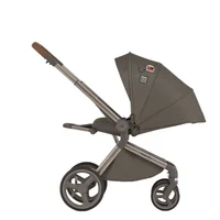 Carucior 2 in 1 Anex Flo Editie Speciala Stroll with the Flow 4