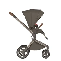 Carucior 2 in 1 Anex Flo Editie Speciala Stroll with the Flow 5