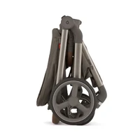 Carucior 2 in 1 Anex Flo Editie Speciala Stroll with the Flow 10
