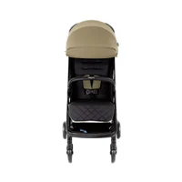 Детская коляска Graco Myavo Clover 2