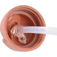 Beaba Cana cu pai din inox 250ml Terracotta B913587 4