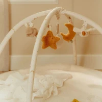 Centru de activitati pentru bebelusi - Newborn Naturals - Little Dutch 6