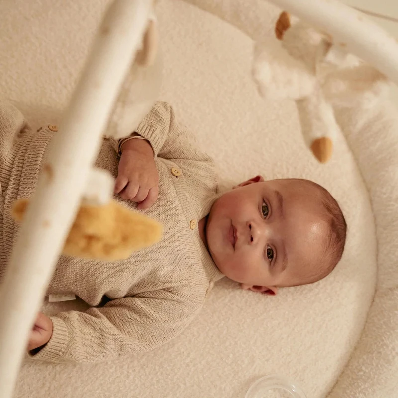 Centru de activitati pentru bebelusi - Newborn Naturals - Little Dutch 3